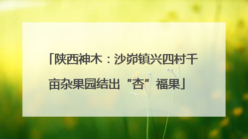 陕西神木：沙峁镇兴四村千亩杂果园结出“杏”福果