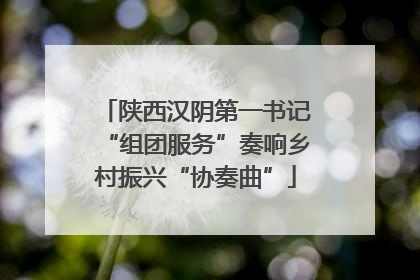 陕西汉阴第一书记“组团服务”奏响乡村振兴“协奏曲”