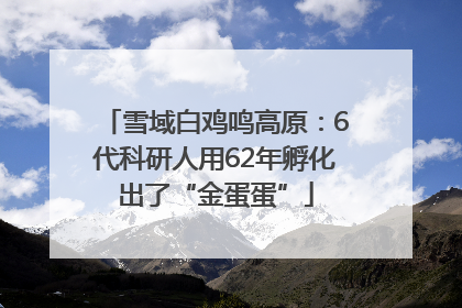 雪域白鸡鸣高原：6代科研人用62年孵化出了“金蛋蛋”