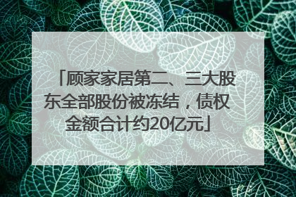 顾家家居第二、三大股东全部股份被冻结，债权金额合计约20亿元