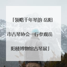 领略千年琴韵 岳阳市古琴协会一行参观岳阳楼博物馆古琴展