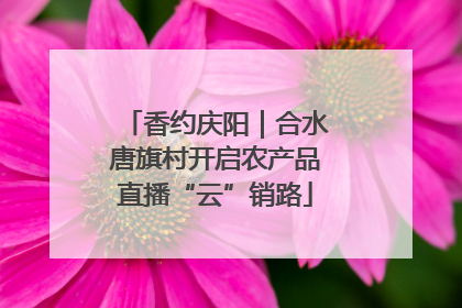 香约庆阳｜合水唐旗村开启农产品直播“云”销路