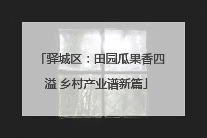 驿城区：田园瓜果香四溢 乡村产业谱新篇