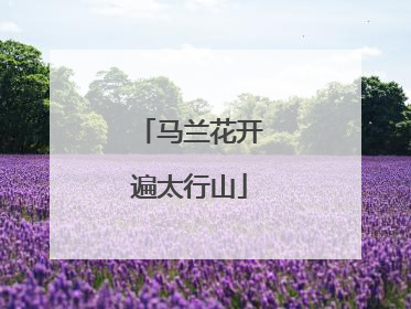 马兰花开遍太行山