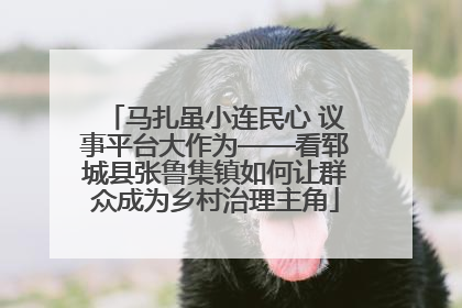 马扎虽小连民心 议事平台大作为——看郓城县张鲁集镇如何让群众成为乡村治理主角