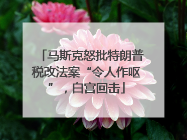 马斯克怒批特朗普税改法案“令人作呕”，白宫回击