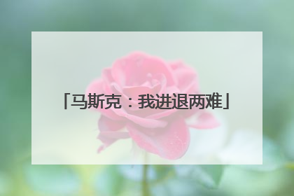 马斯克：我进退两难