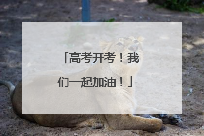 高考开考！我们一起加油！