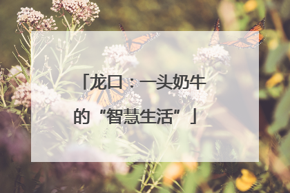 龙口：一头奶牛的“智慧生活”
