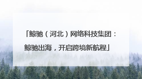 鲸驰（河北）网络科技集团：鲸驰出海，开启跨境新航程