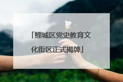 鲤城区党史教育文化街区正式揭牌