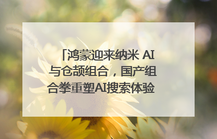 鸿蒙迎来纳米 AI 与仓颉组合，国产组合拳重塑AI搜索体验｜新经济观察