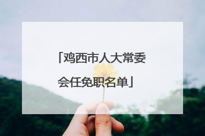 鸡西市人大常委会任免职名单
