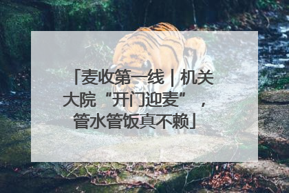 麦收第一线｜机关大院“开门迎麦”，管水管饭真不赖