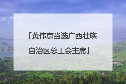 黄伟京当选广西壮族自治区总工会主席