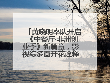 黄晓明率队开启《中餐厅·非洲创业季》新篇章，影视综多面开花诠释全能担当