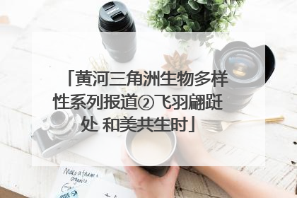 黄河三角洲生物多样性系列报道②飞羽翩跹处 和美共生时