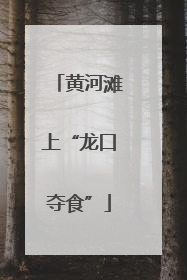 黄河滩上“龙口夺食”
