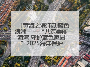 黄海之滨涌动蓝色浪潮——“共筑美丽海湾 守护蓝色家园”2025海洋保护净滩活动暨“美丽江苏—江河湖海青蓝行”海洋篇在连云港举行