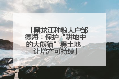 黑龙江种粮大户邹德海：保护“耕地中的大熊猫”黑土地，让增产可持续