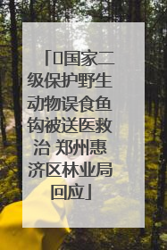 ﻿国家二级保护野生动物误食鱼钩被送医救治 郑州惠济区林业局回应
