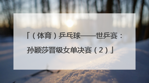 （体育）乒乓球——世乒赛：孙颖莎晋级女单决赛（2）