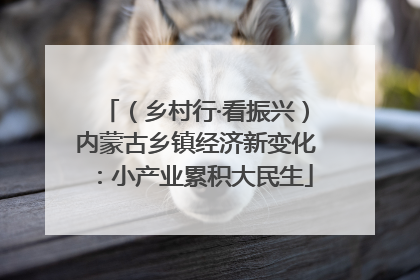 （乡村行·看振兴）内蒙古乡镇经济新变化：小产业累积大民生