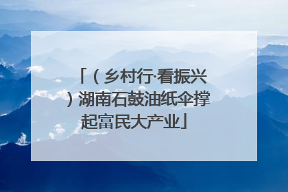 （乡村行·看振兴）湖南石鼓油纸伞撑起富民大产业