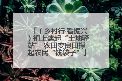 （乡村行·看振兴）镇上建起“土地驿站” 农田变良田撑起农民“钱袋子”