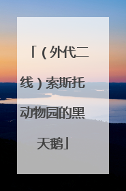 （外代二线）索斯托动物园的黑天鹅