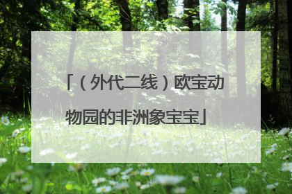 （外代二线）欧宝动物园的非洲象宝宝