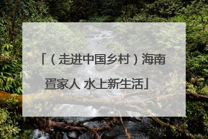 （走进中国乡村）海南疍家人 水上新生活