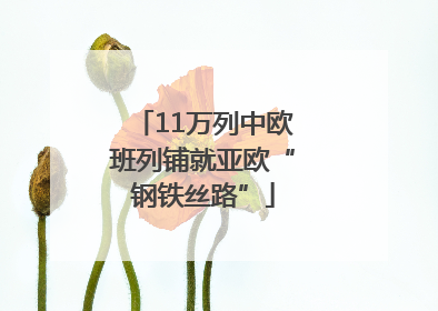 11万列中欧班列铺就亚欧“钢铁丝路”