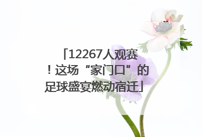 12267人观赛！这场“家门口”的足球盛宴燃动宿迁