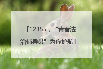 12355，“青春法治辅导员”为你护航