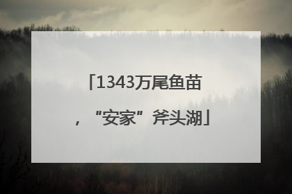 1343万尾鱼苗，“安家”斧头湖