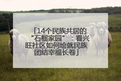 14个民族共居的“石榴家园”：看兴旺社区如何绘就民族团结幸福长卷