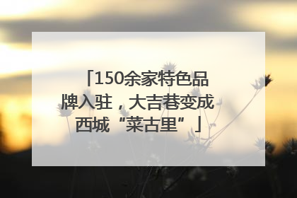 150余家特色品牌入驻，大吉巷变成西城“菜古里”