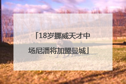 18岁挪威天才中场尼潘将加盟曼城