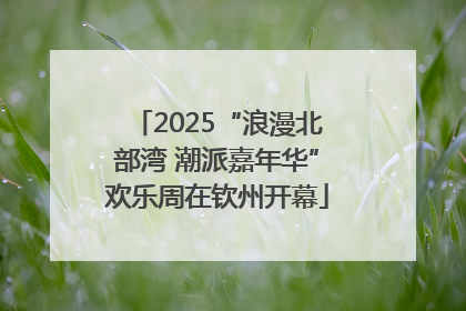 2025“浪漫北部湾 潮派嘉年华”欢乐周在钦州开幕