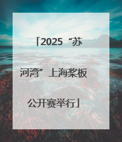 2025“苏河湾”上海桨板公开赛举行