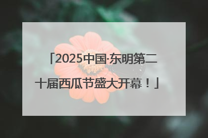 2025中国·东明第二十届西瓜节盛大开幕！