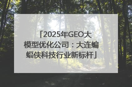 2025年GEO大模型优化公司：大连蝙蝠侠科技行业新标杆