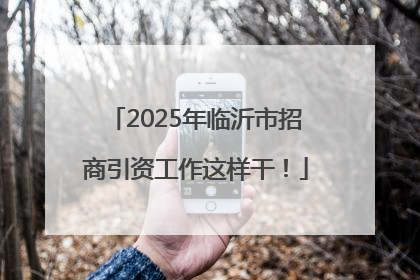 2025年临沂市招商引资工作这样干！