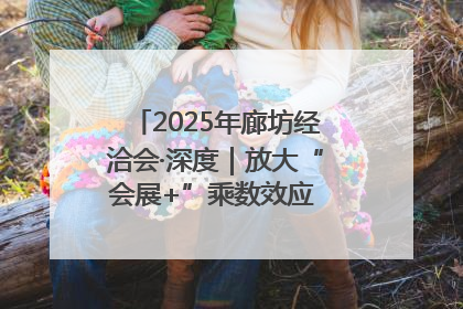 2025年廊坊经洽会·深度｜放大“会展+”乘数效应 打造消费新场景