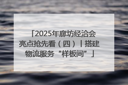 2025年廊坊经洽会亮点抢先看（四）丨搭建物流服务“样板间”