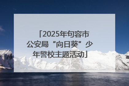 2025年句容市公安局“向日葵”少年警校主题活动