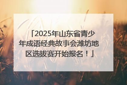 2025年山东省青少年成语经典故事会潍坊地区选拔赛开始报名！