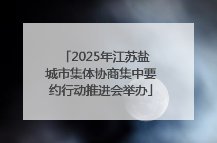2025年江苏盐城市集体协商集中要约行动推进会举办