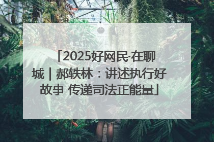 2025好网民·在聊城｜郝轶林：讲述执行好故事 传递司法正能量